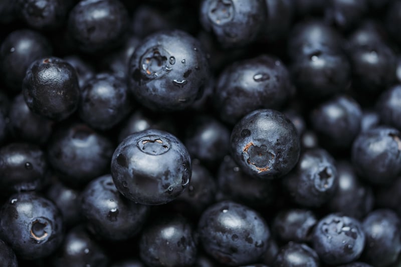 Superfoods Spotlight